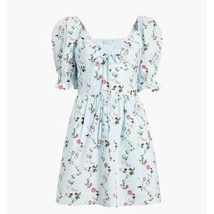 Hill House Samantha Mini Dress in Pond Floral